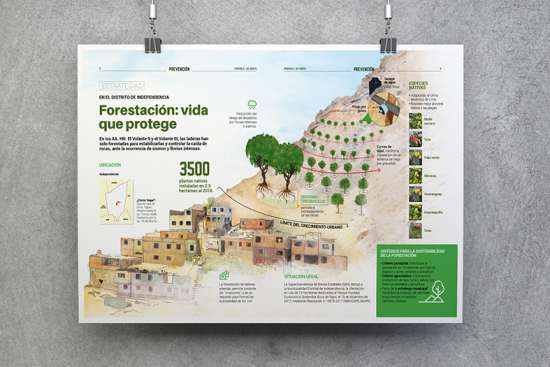 Diseño-gráfico_Infografía-Forestación-vida-que-protege-(PREDES)-1